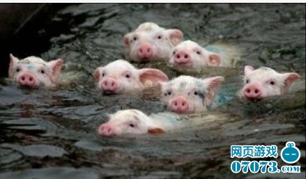 猪妖?诛妖!《天地英雄》做个擒兽猛姐儿_游戏资讯_07073游戏网